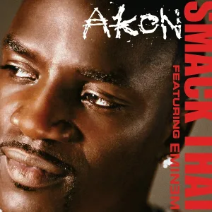 Akon feat. Eminem - Smack That