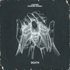 LIQSAIDE, Diamond Maniac - DEATH