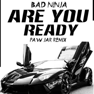 BAD NINJA - Are You Ready