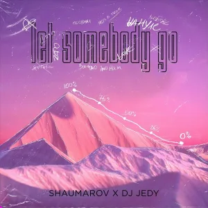 SHAUMAROV, DJ JEDY - Let Somebody Go