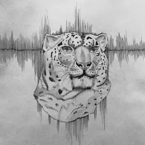 izzamuzzic - Observer