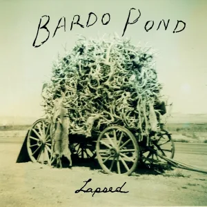 Bardo Pond - Aldrin