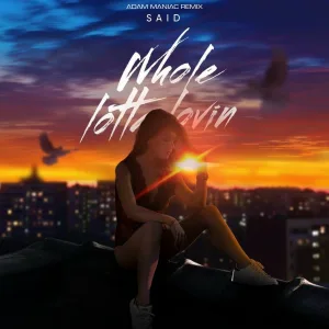 SAID - Whole lotta lovin
